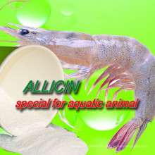 Meilleur prix Allicin poudre d&#39;ail extrait 15% 25% pour poisson crevettes